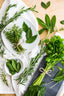 Sip Into Summer: How Herbs Bring Flavor + Function to Every Cup