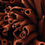 Apple Cinnamon